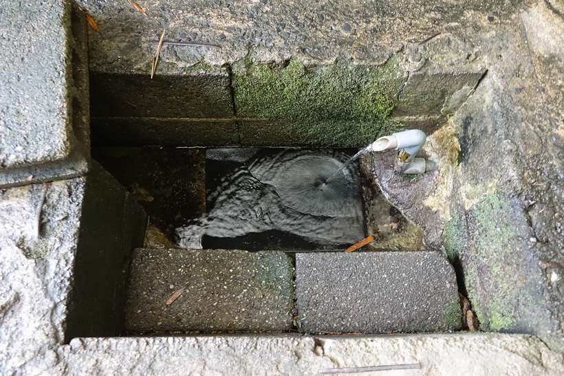 楠井の泉(取水口)