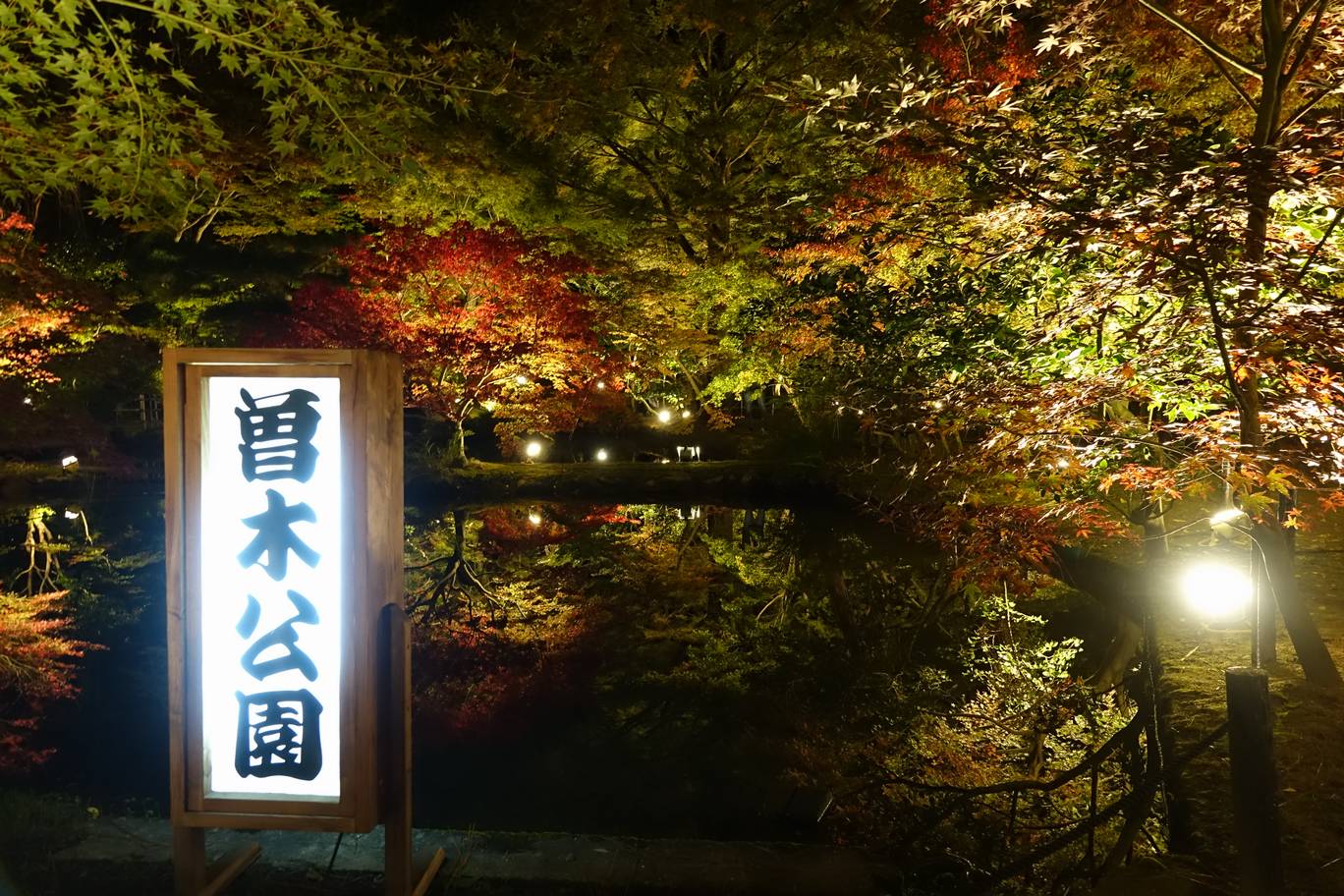 逆さ紅葉(曽木公園)その1(DSC-RX10M3)