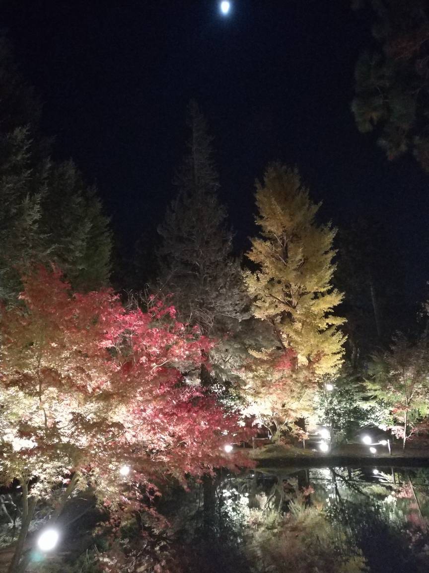 逆さ紅葉(曽木公園)その2(Motorola Moto G7 Plus)