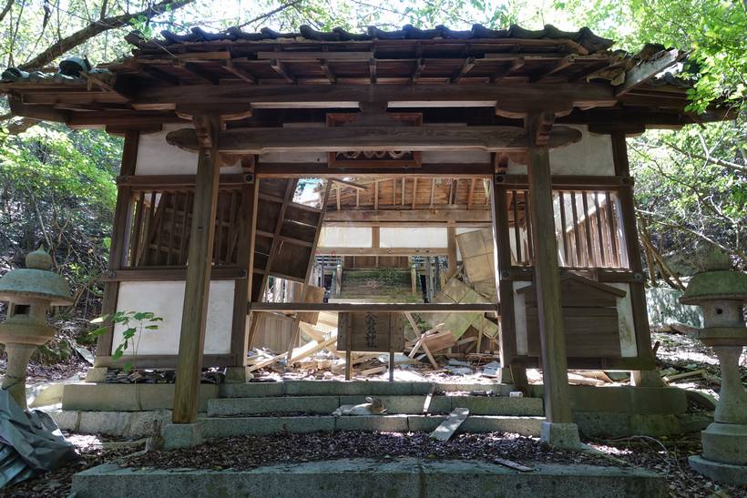 大久野島・兎2